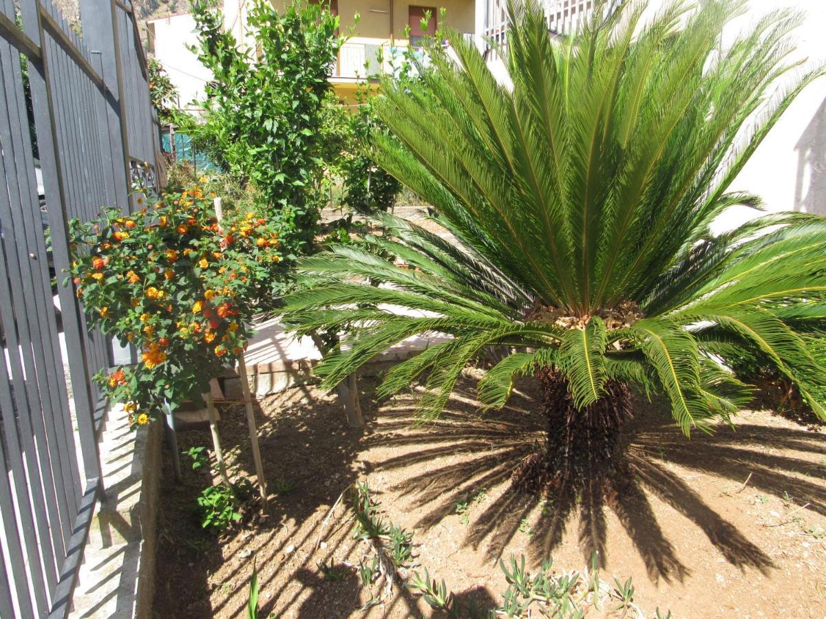 Bed and Breakfast La Cycas Трабия Экстерьер фото